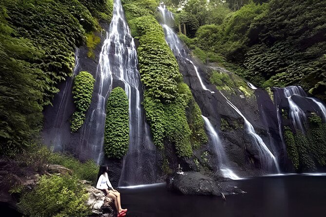 Bali Full-Day Hidden Hills, Twin Waterfalls and Hot Spring Tour - Key highlights you’ll actually care about