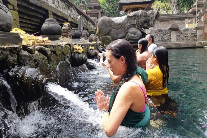 Bali Full Day Holy Water Tour - From Kuta in an Air-Conditioned Van: What Your Day Feels Like
