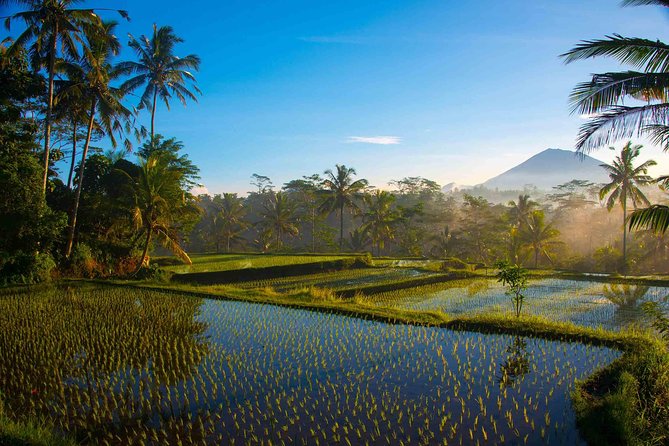 Bali Full Day Photography Tour - Sunrise from Ubud: why the early start matters