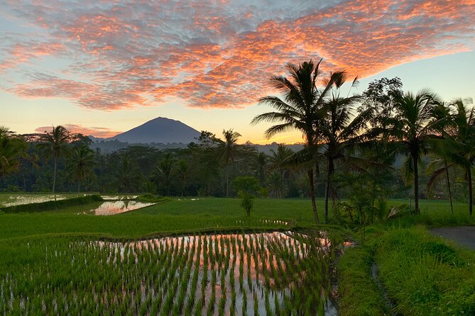 Bali Full Day Photography Tour - Who this Bali full-day photography tour is best for
