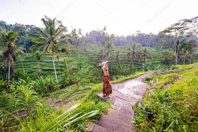 Bali Full-Day Sightseeing Trip with Lunch - Key Highlights You’ll Feel During This Tour