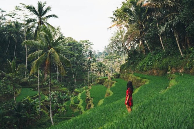 Bali Full-Day Sightseeing Trip with Lunch - Stop 6: Tegenungan Waterfall for Jungle Surrounds and Wet Fun