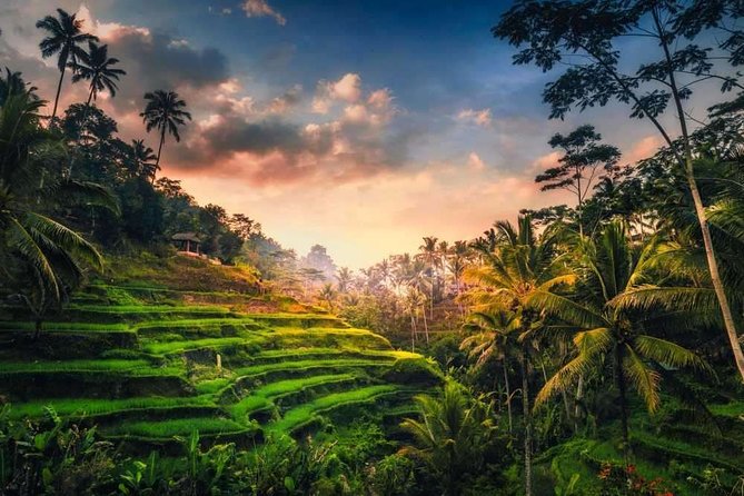 Bali Full-Day Sightseeing Trip with Lunch - Hotel Pickup Across South and Central Bali