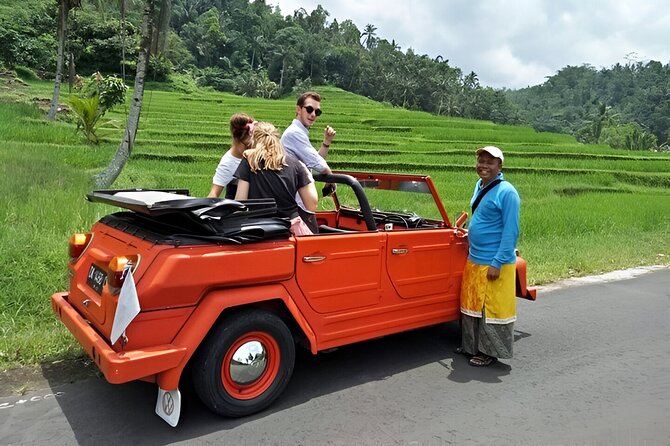 Bali Full-Day The Gate of Heaven Tour by VW Safari Classic Car - Who this Gate of Heaven tour is best for