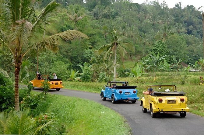 Bali Full-Day The Gate of Heaven Tour by VW Safari Classic Car - Should you book this Bali Gate of Heaven VW Safari tour?