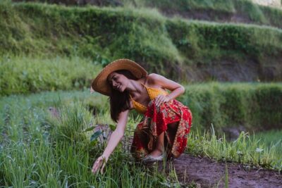 Bali Full Day Tour: Highlights of Ubud and Hidden Waterfall - Tegalalang Rice Terrace: a quick walk through the green