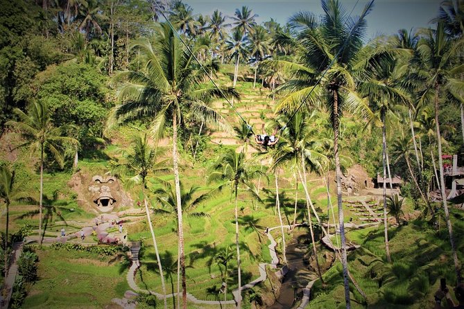 Bali Full Day Tour | Individual Route in Bali | Bali Guide | Free Wi-Fi - Drivers make or break the day: what the best ones do