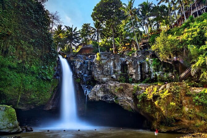 Bali Full-Day Tours : Waterfall and Ubud Destination Trip - Key highlights you’ll actually care about