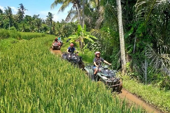 Bali Full-Day Tours : Waterfall and Ubud Destination Trip - Ubud Royal Palace (Puri Saren) and the quick culture pause