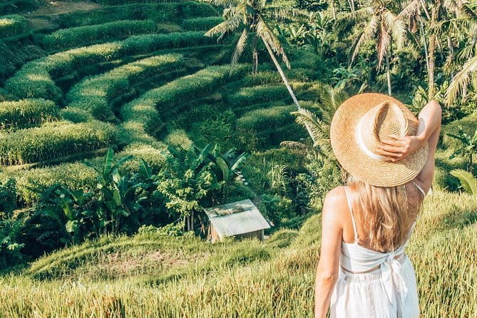 Bali Full-Day Tours : Waterfall and Ubud Destination Trip - Stop for archaeology: Goa Gajah (Elephant Cave) on Bali’s western edge