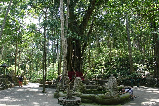 Bali Full-Day Traditional Village Sightseeing Trip All Inclusive - Tegalalang rice terraces (and swing/zip-line options)