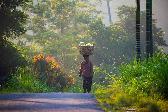 Bali Half Day Photography Tour - Photography Tips for Cameras and Smartphones: Getting Better in One Morning