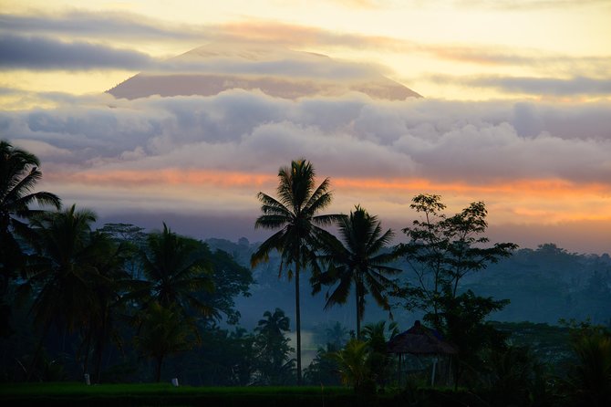 Bali Half Day Photography Tour - What’s Included in the $164.11 Price (and Why It Can Be Fair)