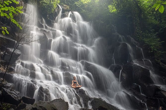 Bali Half Day Trip : All-Inclusive and Private Guided Tour - Hotel pick-up and private car: the comfort you feel from minute one