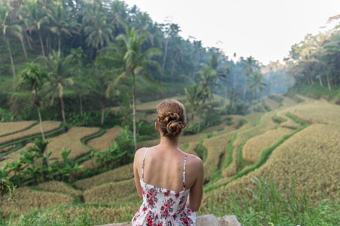 Bali Half Day Trip : All-Inclusive and Private Guided Tour - Stop 2: Tegalalang Rice Terrace views in one focused hour