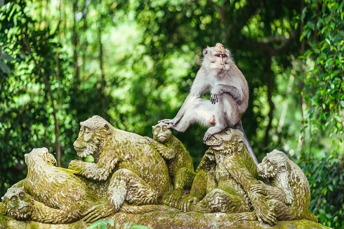 Bali Half Day Trip : All-Inclusive and Private Guided Tour - Stop 4: Tirta Empul Temple and the purpose of holy water