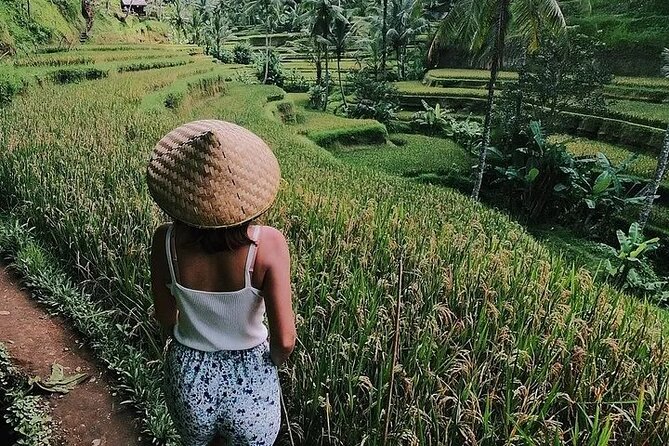 Bali Half Day Trip : All-Inclusive and Private Guided Tour - Stop 1: Sacred Monkey Forest Sanctuary without the chaos