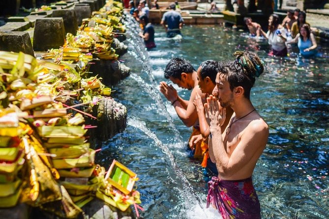 Bali Highlights Private Tour with Elephant Cave and Rice Field - Tegenungan Waterfall in 30 minutes: enjoy it without turning it into a rush
