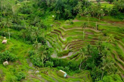 Bali Horse Riding Activity and Full-Day Trip in Ubud - Celuk Village: jewelry craft that feels hands-on