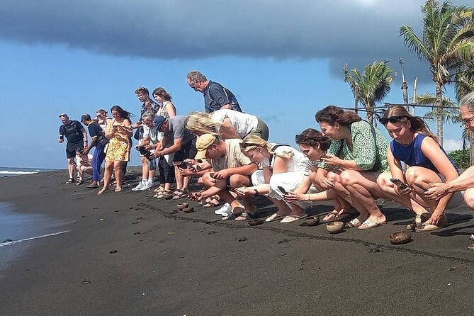 Bali Horse Riding and Turtle Release at Saba Beach - Saba Asri Turtles Conservation: where the meaning starts