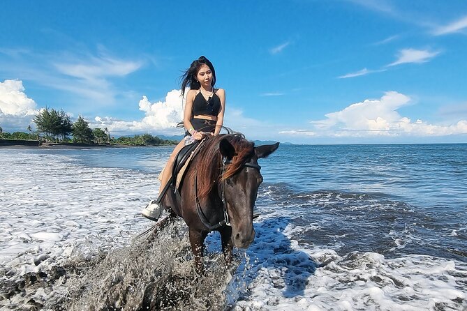 Bali Horse Riding and Turtle Release at Saba Beach - Price and value at $64: what you’re really paying for