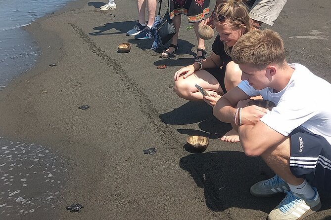 Bali Horse Riding and Turtle Release at Saba Beach - Who this tour suits best