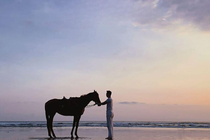 Bali Horse Riding Sanur Beach include Transport - Horses, safety, and the staff approach