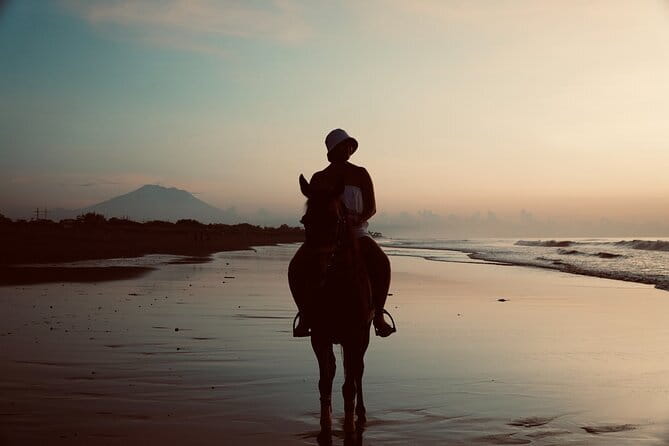 Bali Horse Riding Sanur Beach include Transport - What a 1-hour ride really means for your time