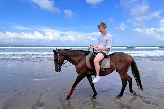 Bali Horse Riding Seminyak Beach Experience Private Transport - Safety and Comfort: The Non-Negotiables Before You Ride