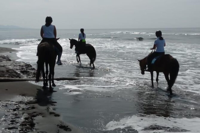 Bali Horse Riding Trot & Canter Saba Beach with Local Temple - Riding the Trot and Canter: What the Beach Time Feels Like