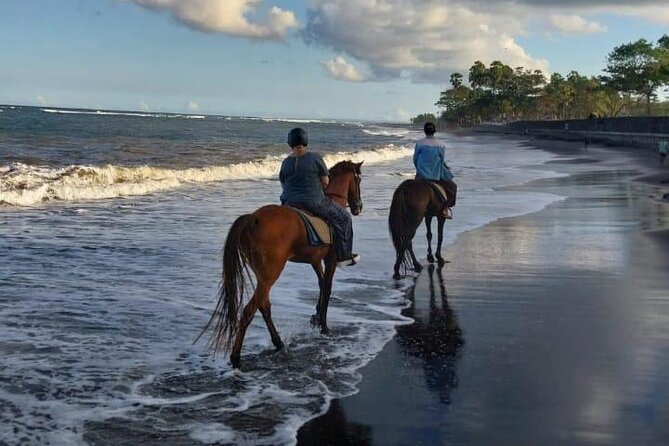 Bali Horse Riding Trot & Canter Saba Beach with Local Temple - Who This Ride Fits Best (And Who Might Pass)