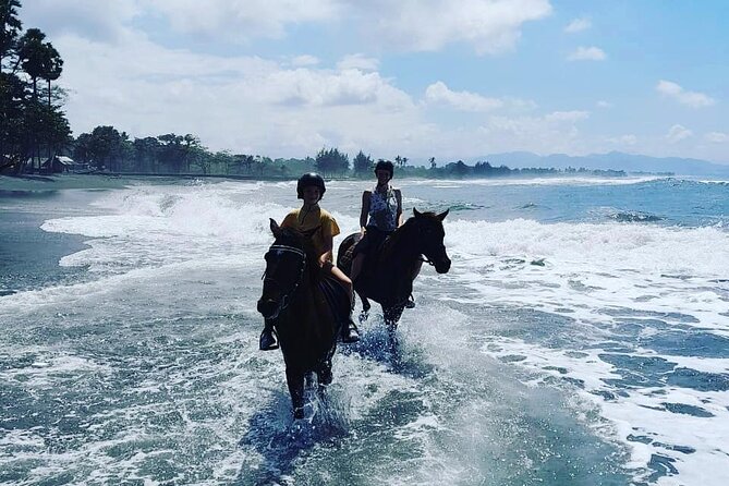 Bali Horse Riding Trot & Canter Saba Beach with Local Temple - Price and What You Actually Get for $39