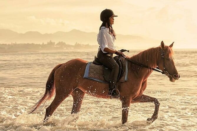 Bali Horse Riding, Waterfall, Rice Terrace, Lunch - All Inclusive - Key highlights you’ll care about