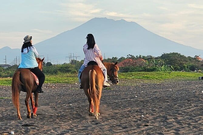 Bali Horse Riding, Waterfall, Rice Terrace, Lunch - All Inclusive - Tegenungan Waterfall: the path is the point