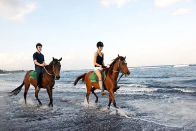 Bali Horse Riding, Waterfall, Rice Terrace, Lunch - All Inclusive - Saba Bay horseback riding: real safety, real views