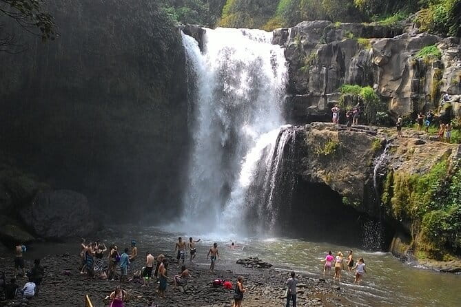 Bali Horse Riding, Waterfall, Rice Terrace, Lunch - All Inclusive - Price and logistics: is $95 a good deal?