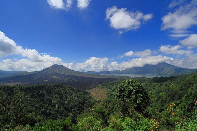 Bali Iconic Tour with Buffet Lunch and Attraction Tickets - Tegenungan Waterfall: Short Walk, Big Views, Sensible Timing