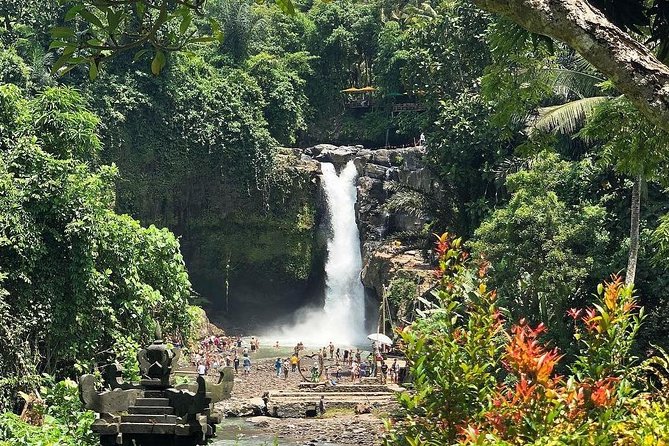 Bali Iconic Tour with Buffet Lunch and Attraction Tickets - Ubud Monkey Forest Sanctuary: Macaques Up Close, Rules You’ll Want
