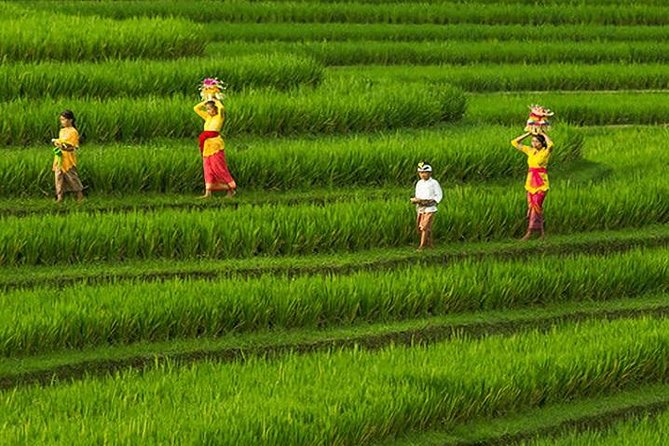 Bali Iconic Tour with Buffet Lunch and Attraction Tickets - Who This Tour Fits Best and What to Bring