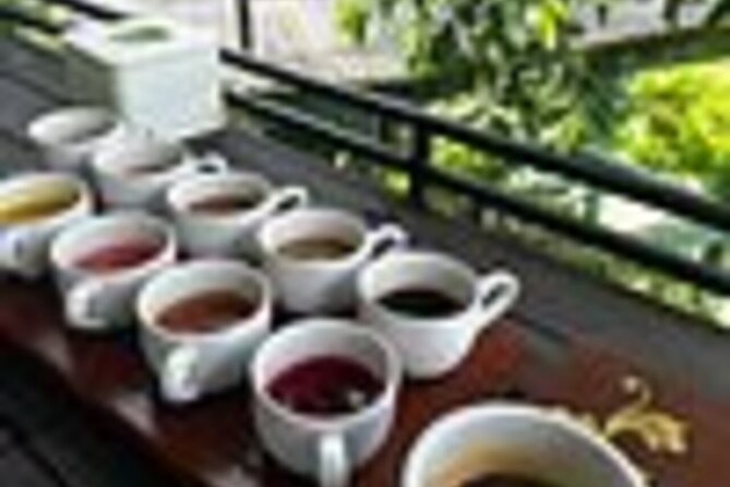 Bali in 1-Day : Rice Terrace, Volcano, Tanah lot - All Inclusive - Tegalalang Rice Terrace: how the terracing shapes the views