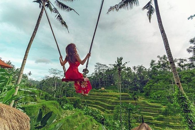 Bali Individual Route With Private English Speaking Driver - The value case: what $32.83 gets you in Bali
