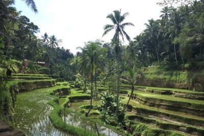 Bali Individual Route With Private English Speaking Driver - Your day plan: the timing that keeps things stress-free