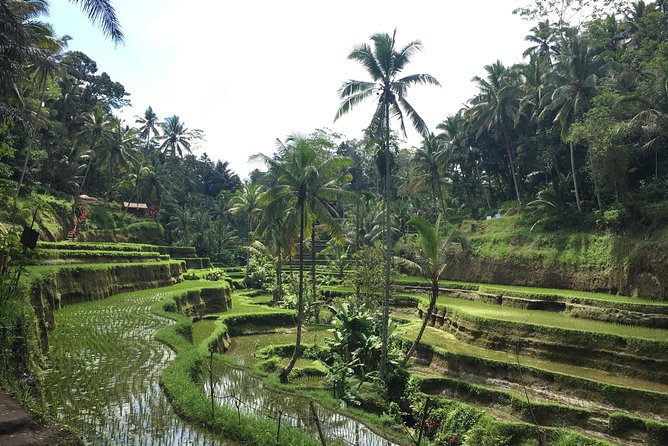 Bali Individual Route With Private English Speaking Driver - Your day plan: the timing that keeps things stress-free