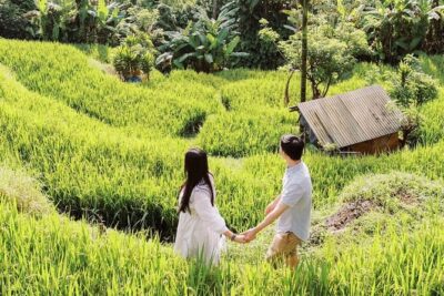 Bali Instagram Tour - Tirta Gangga: pools, fountains, and stone details