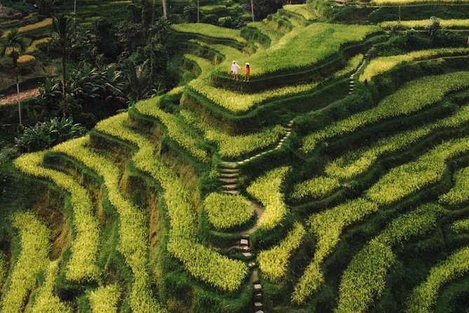Bali Instagram Tour - All Inclusive - Sunrise Lempuyang Temple and the Gate of Heaven timing