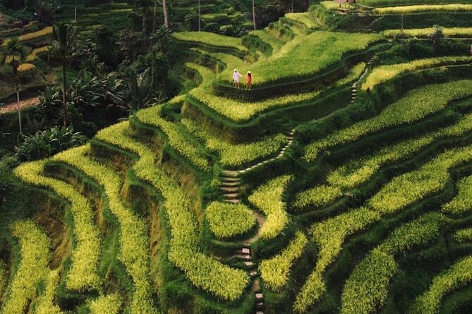 Bali Instagram Tour - All Inclusive - Tukad Cepung Waterfall: hidden canyon light and the short walk