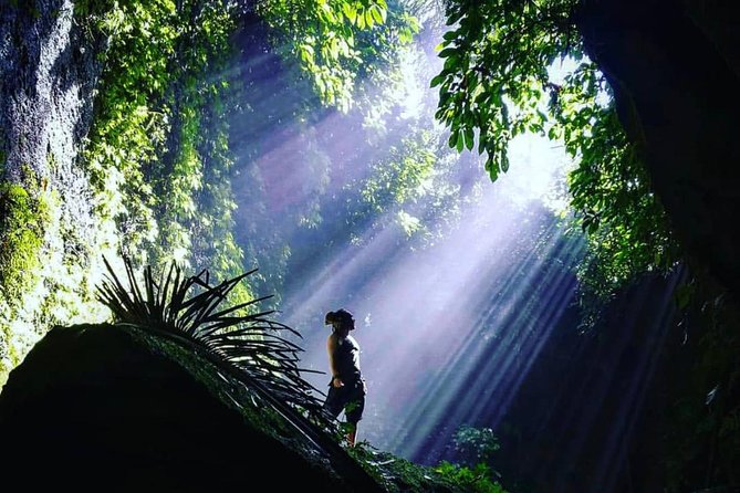 Bali Instagram Tour: Gate of Heaven, Swing and Waterfall Day Tour - Stop 2: Tirta Gangga Royal Water Garden Reset