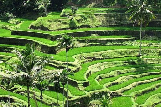 Bali Instagram Tour : The Most Popular Spots In Bali - Tukad Cepung Waterfall: Sun Rays and Time for a Swim