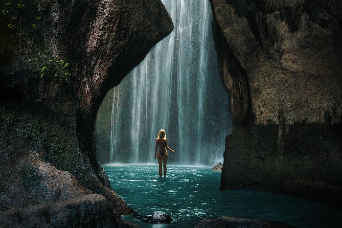 Bali Instagram Tour: The Most Scenic Spots - Stop 4: Tegalalang Rice Terraces and the Swing-and-Marsupilami Options