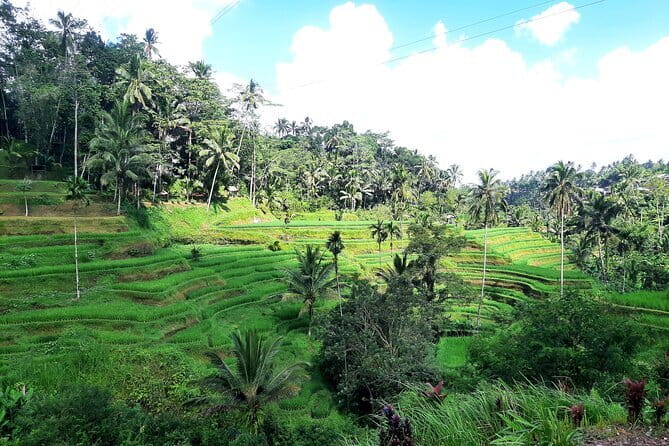 BALI INSTAGRAM TOURS; Heaven Gate, Tirta Gangga, Tukad Cepung waterfall - How the day actually flows: 7–8 hours, traffic, and photo pacing